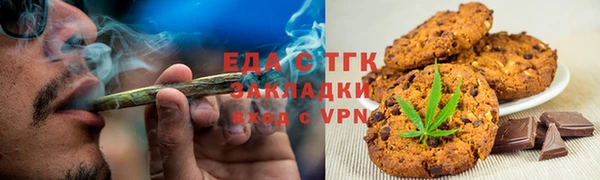 молекула духа Вяземский