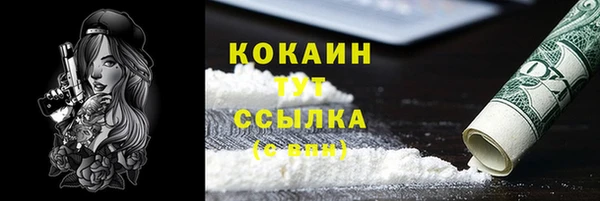 ешки Анива