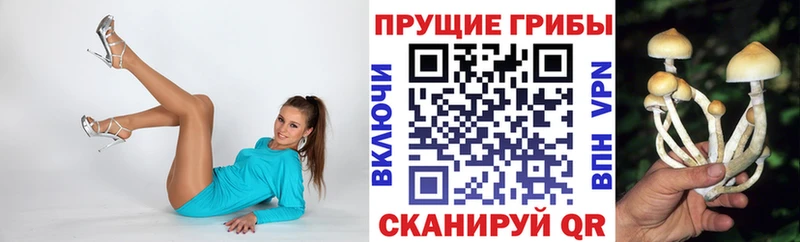 Псилоцибиновые грибы Psilocybine cubensis  Зеленодольск 