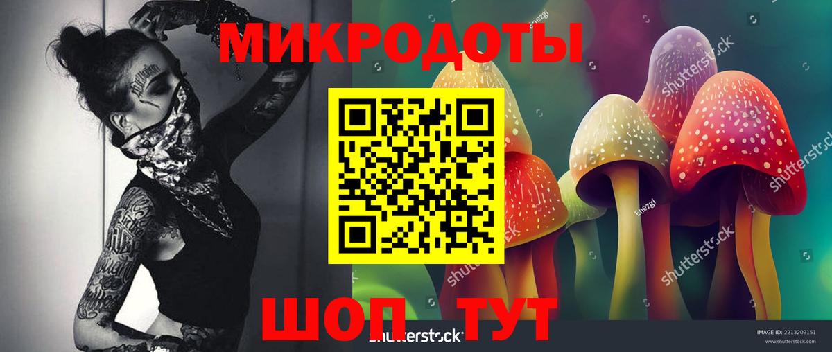 Галлюциногенные грибы Magic Shrooms Зеленодольск