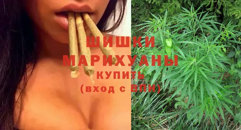 наркошоп  Зеленодольск  МАРИХУАНА OG Kush 